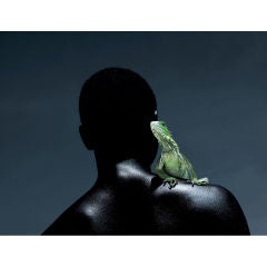 "Knight of the Iguana" Photograph by Ezra Gozo Mansur 4