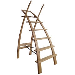 Library ladder by Peter Superti