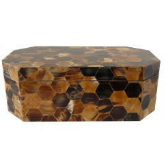 Monumental Inlaid Horn Box