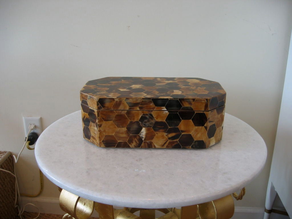 Monumental Inlaid Horn Box