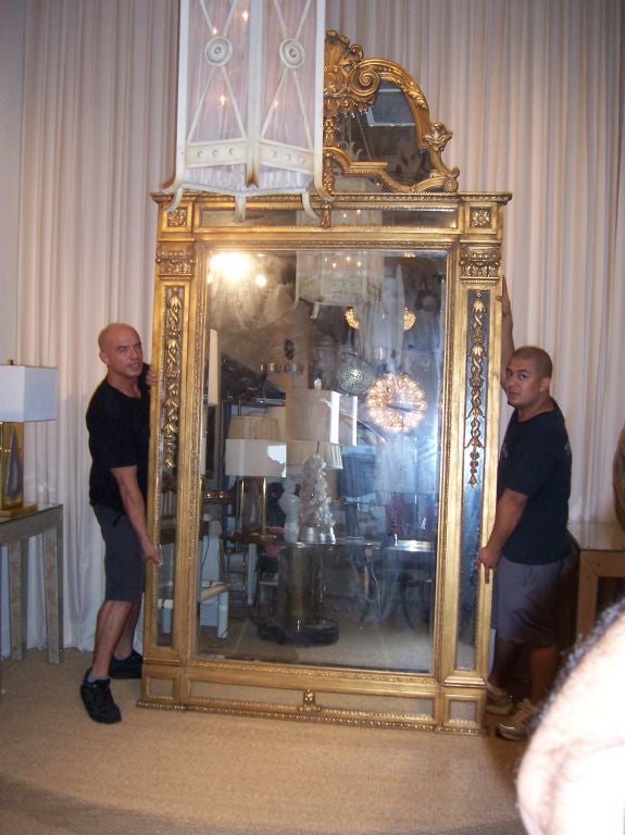 Neoclassical Revival Palatial Mirror from the Grand Era Style 