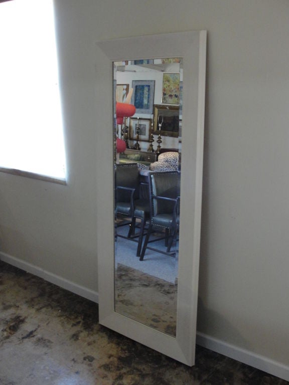 A Wonderful Tall Python-Clad Dressing Mirror