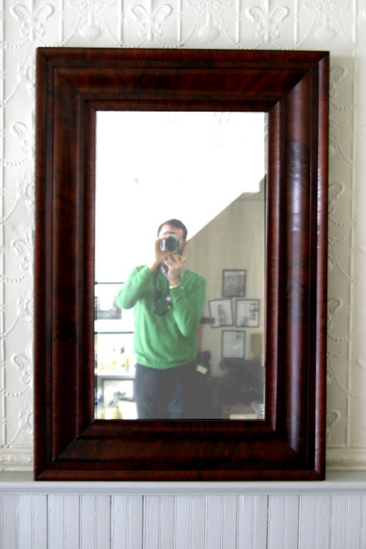 Ogee Mirror 1