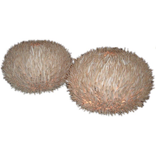 Carved Wooden "Sea Anemone" Lamps