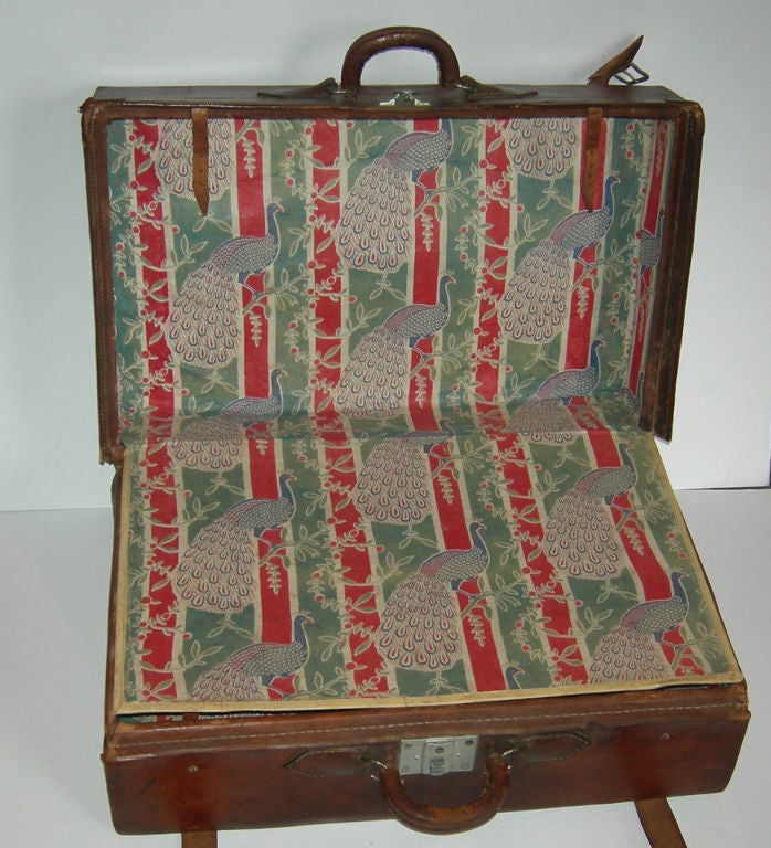 Charming Alligator Suitcase 2