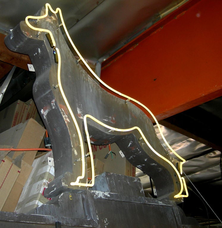 Dog And Cat Hospital Neon Sign at 1stdibs