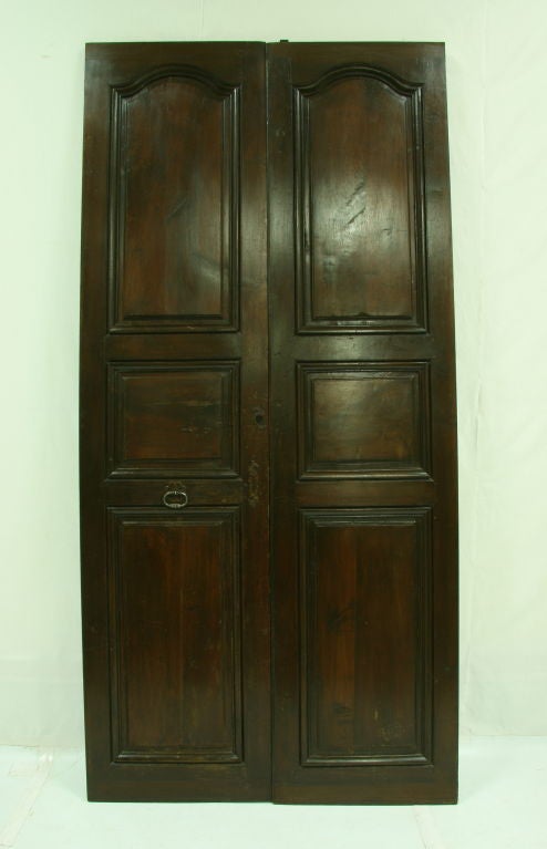 Louis XIV Pair of 19th Century French Walnut Doors