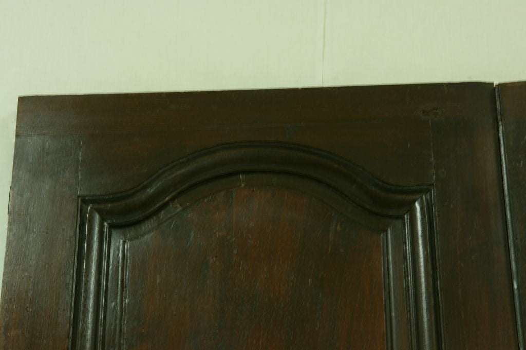 Pair of 19th Century French Walnut Doors 1