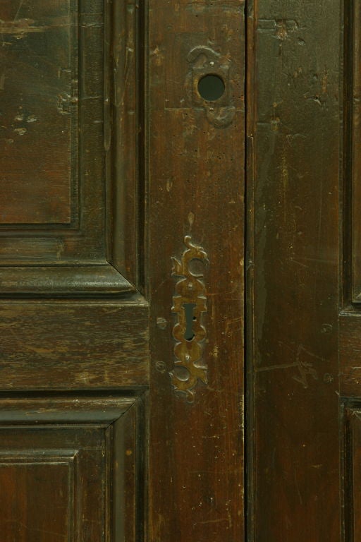 Pair of 19th Century French Walnut Doors 2