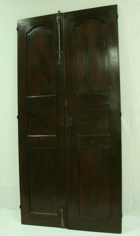 Pair of 19th Century French Walnut Doors 3