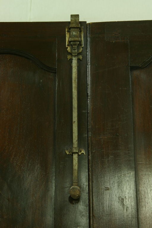Pair of 19th Century French Walnut Doors 4