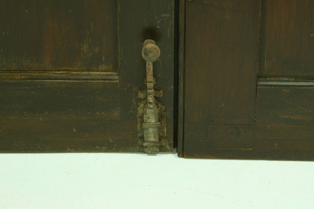 Pair of 19th Century French Walnut Doors 5