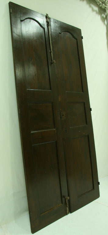 Pair of 19th Century French Walnut Doors 6