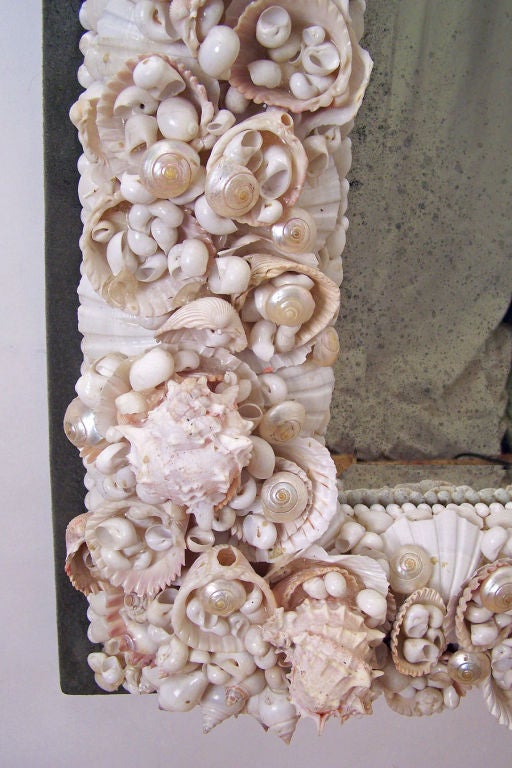 Exceptional Large Seashell Frame Mirror 1