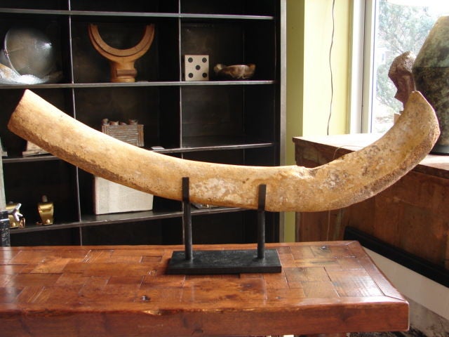 19th c whale rib on custom steel stand.