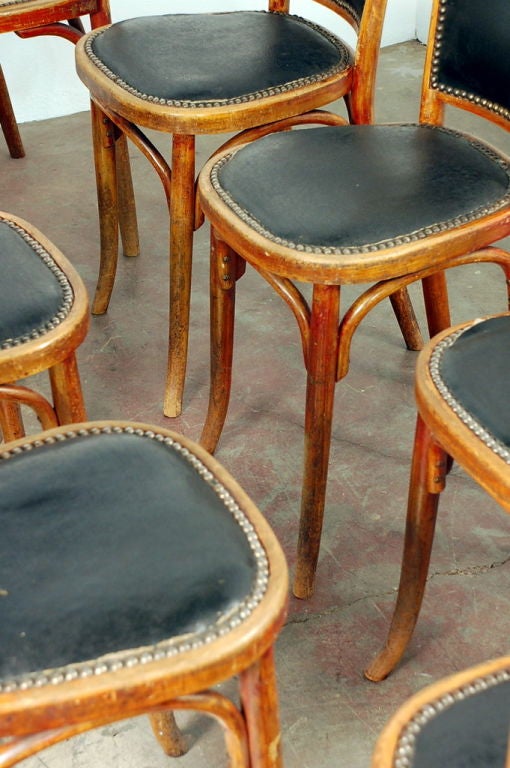 Bentwood Set of 7 + 1 French bistro early 20th century dining chairs