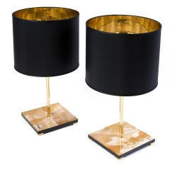 Elegant Brass and Horn Table Lamp