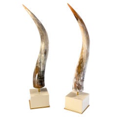 Chic Sculptural Horns on Lacquer and Brass Stand