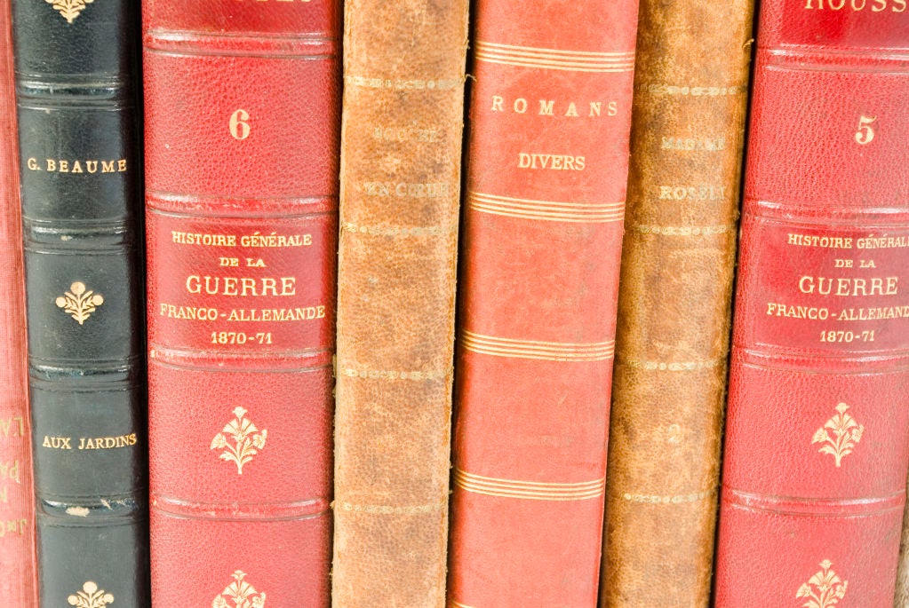 French Beautiful Old Leather Books For Sale