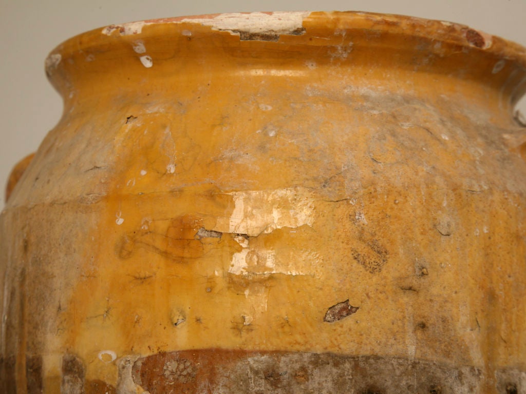 Terracotta c.1880 Antique French Confit Pot