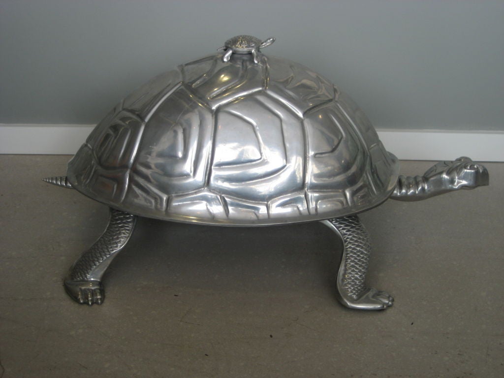 arthur turtle