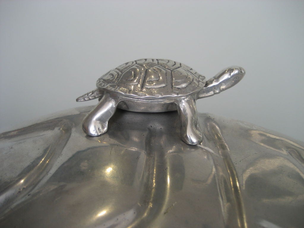 turtle in arthur