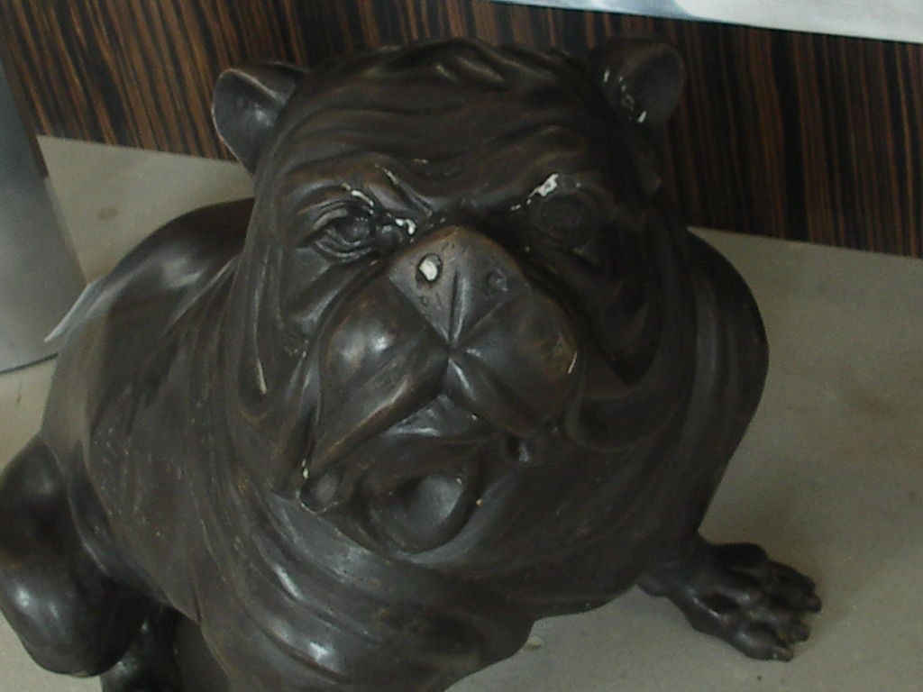 Unknown Gigantic Bronze Bull Dog