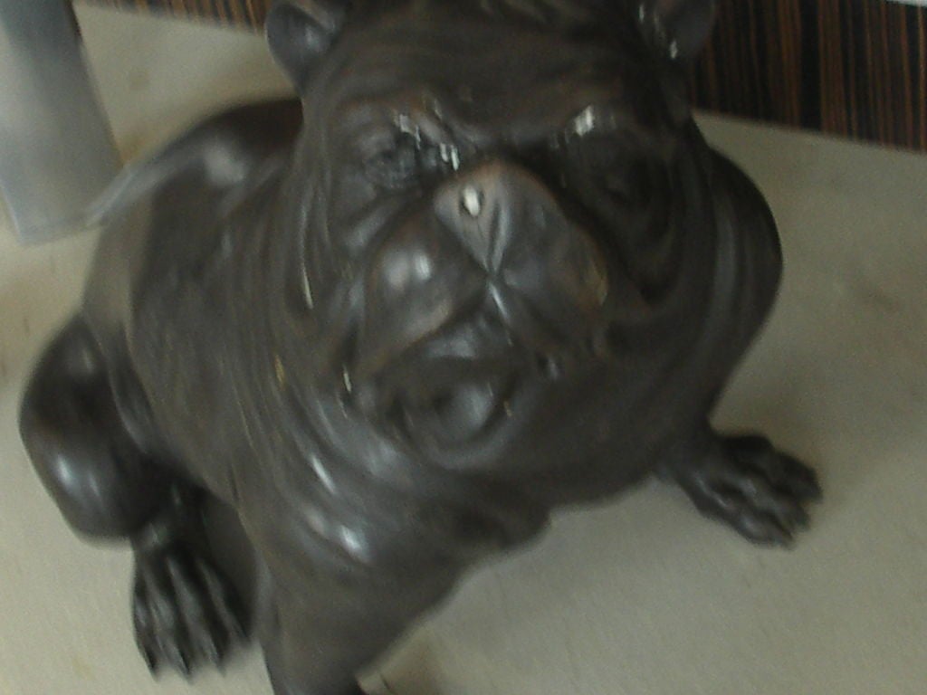 Gigantic Bronze Bull Dog 3