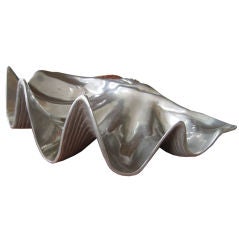 Aluminum Shell by Bruce Fox
