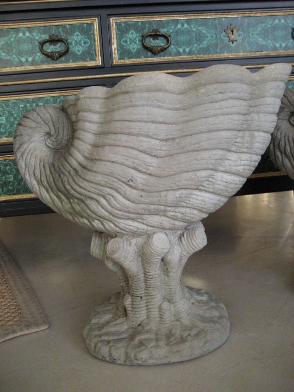 Pair of Concrete Shell Planters 4