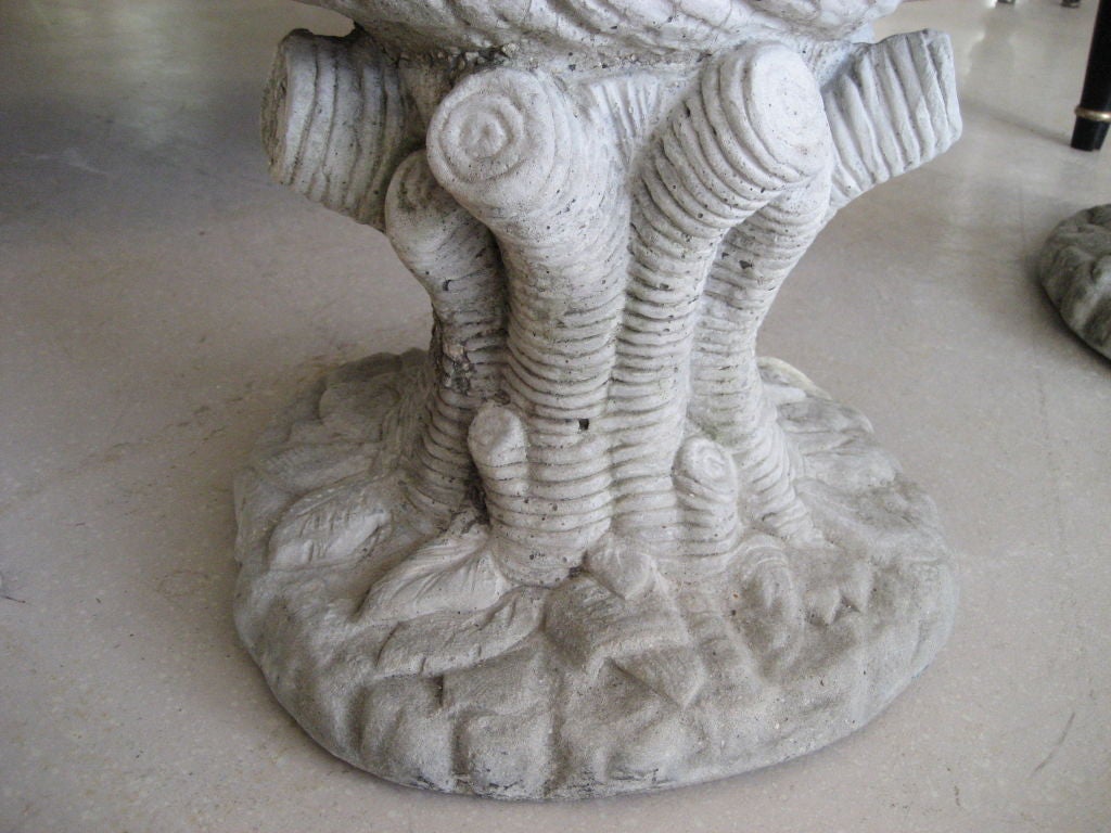 Unknown Pair of Concrete Shell Planters