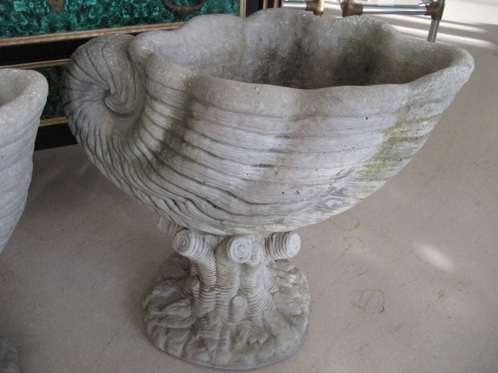 20th Century Pair of Concrete Shell Planters