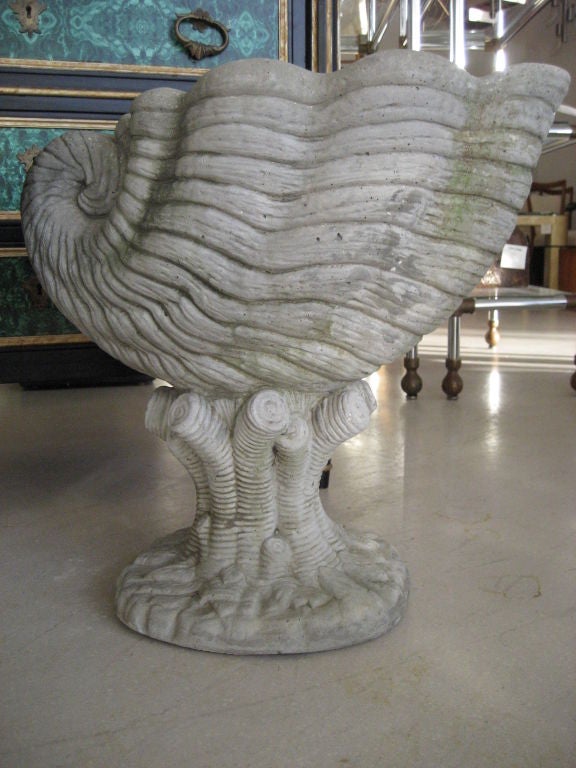 Pair of Concrete Shell Planters 3