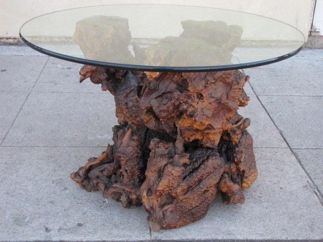 A Pair of  Burl Walnut Root Glass Topped EndTables