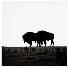 Teton Bison by Peter Block, Black and White Photography