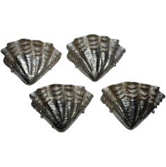 Silvered Bronze Shell Sconces