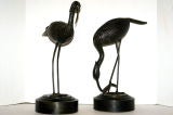 Metal  Storks Sculptures