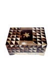 Horn Veneered Box
