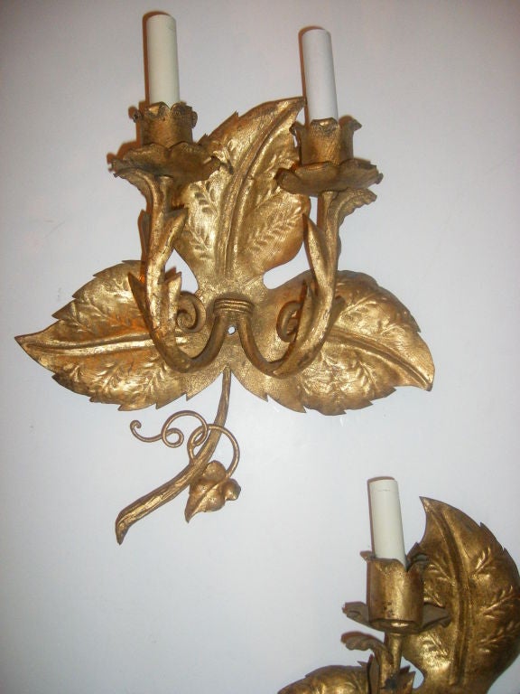 A pair of circa 1930's Italian gilt metal two-light grape leaf shaped sconces.

Measurements:
Height: 15