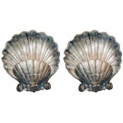 Pair of  Shell Sconces