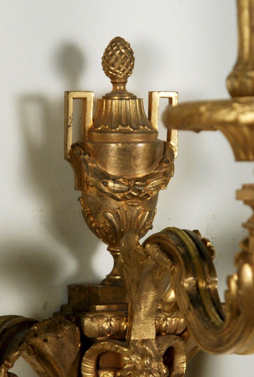 French A Fine Pair Of Louis XVI Style Gilded Sconces For Sale