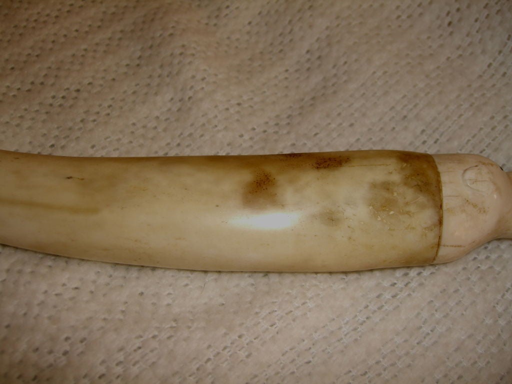 Inuit Native American Eskimo fossilized walrus Oosik carving 1