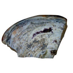 Antique Large specimen polished Petrified wood boulder w/ amethyst vein