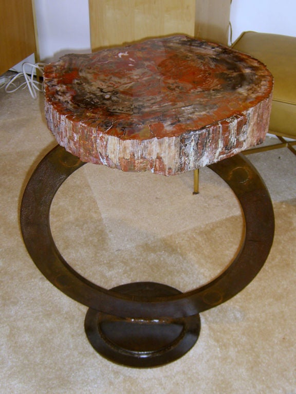 Stunning petrified wood table top with a patinated iron base. at 1stDibs