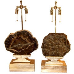 Large pr of petrified wood specimen lamp silver leaf bases