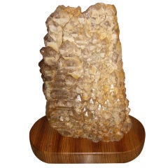 Elestial Jacare alligator Quartz cystal specimen  zebrawood base