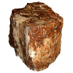 Great 250 pound colorful petrified wood garden stool sculpture