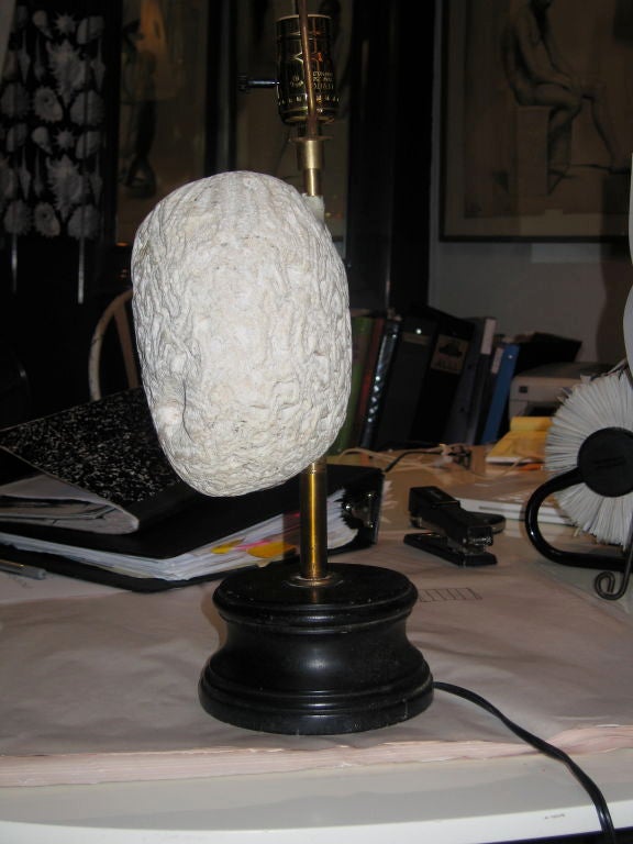 Vintage Brain Coral Lamp