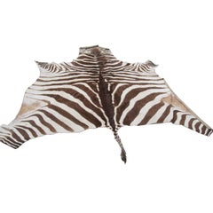 Zebra Skin Rug