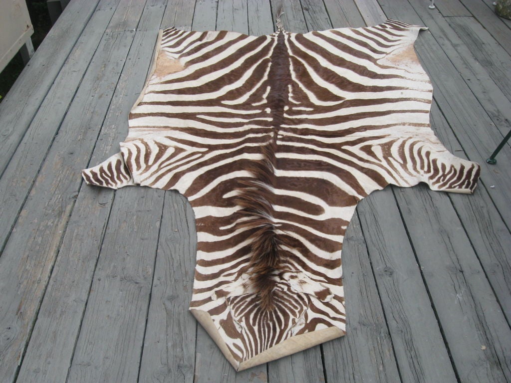 Zebra Skin Rug